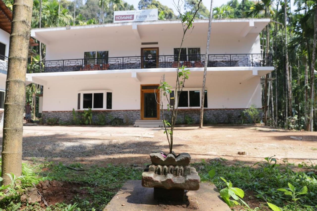 Hosamane Farm Inn Sringeri Eksteriør bilde