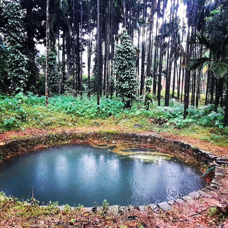 Hosamane Farm Inn Sringeri Eksteriør bilde
